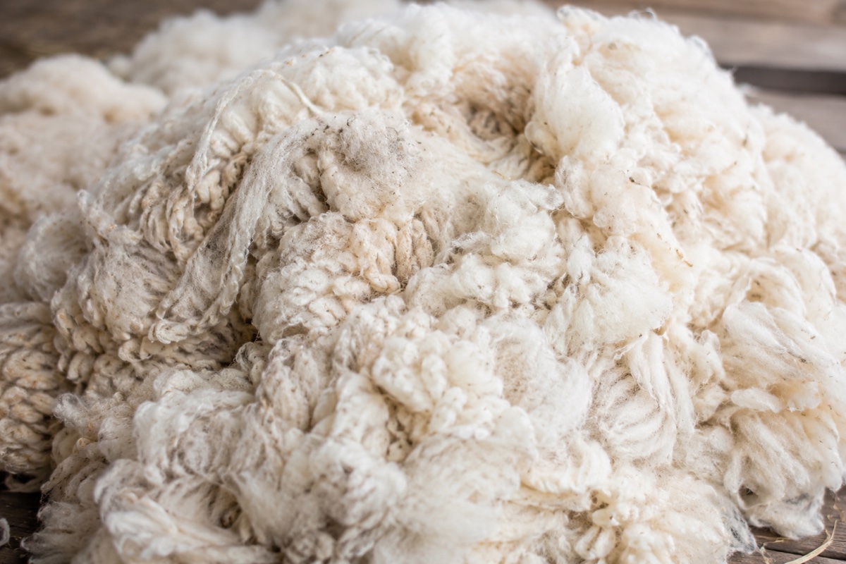 Raw wool fibres