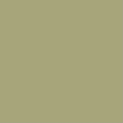 Chalk Paint Ivy No.2