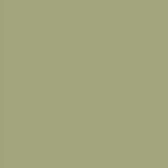 Chalk Paint Ivy No.3