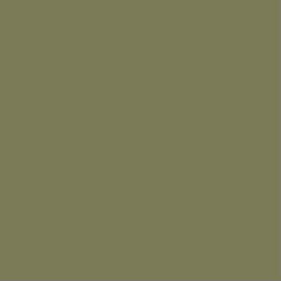 Chalk Paint Ivy No.4