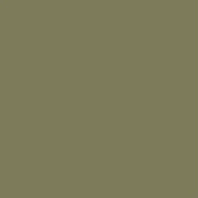 Chalk Paint Ivy No.4